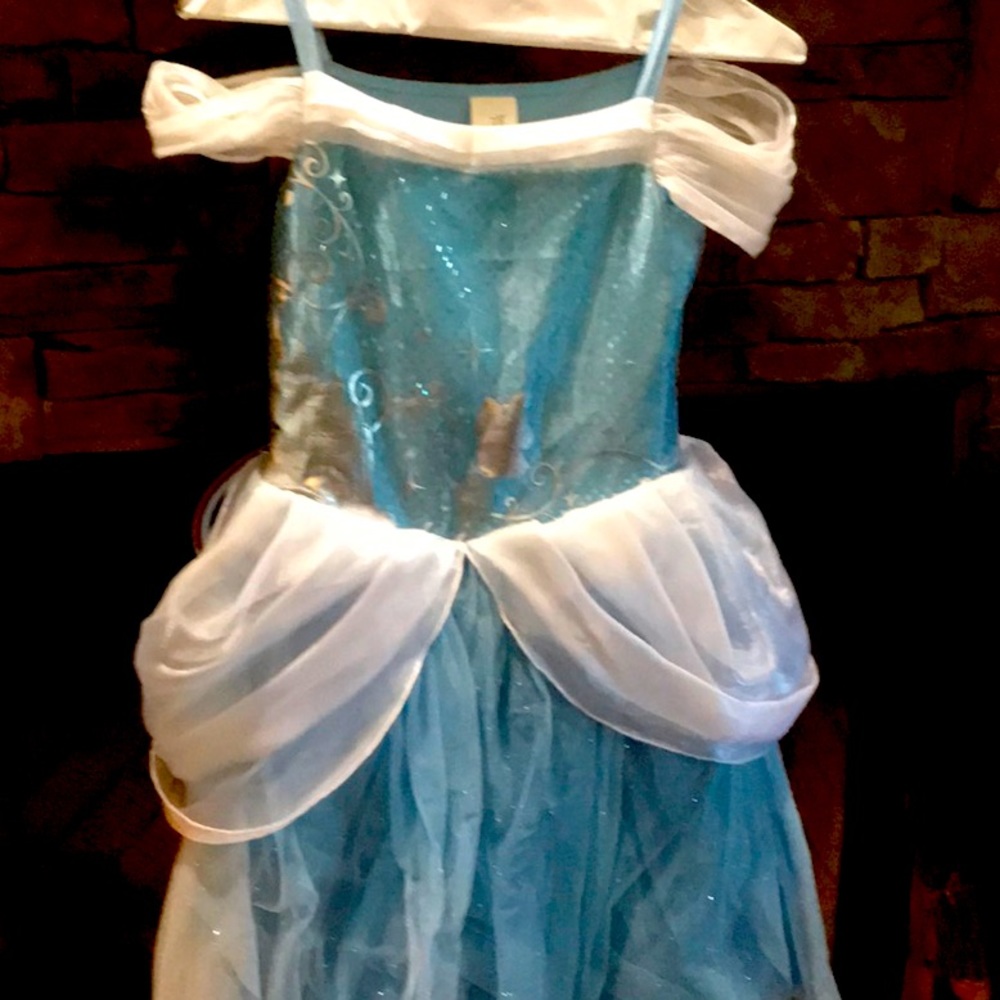 Disney Warehouse Cinderella Dress